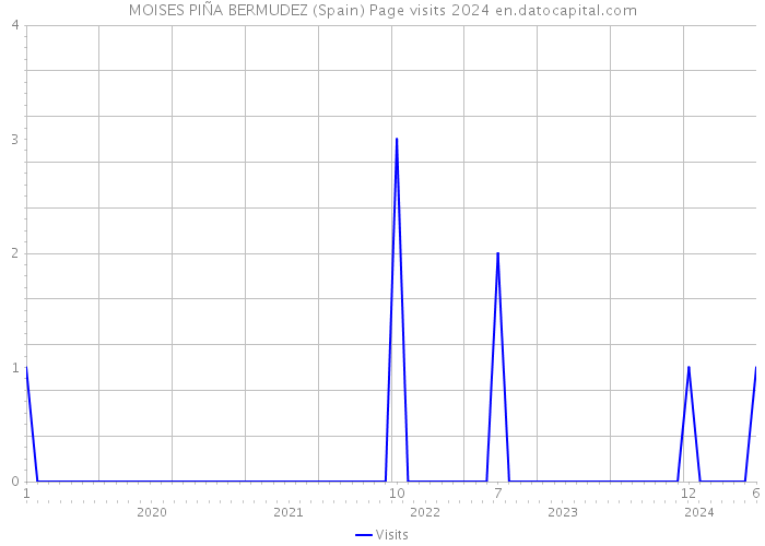 MOISES PIÑA BERMUDEZ (Spain) Page visits 2024 