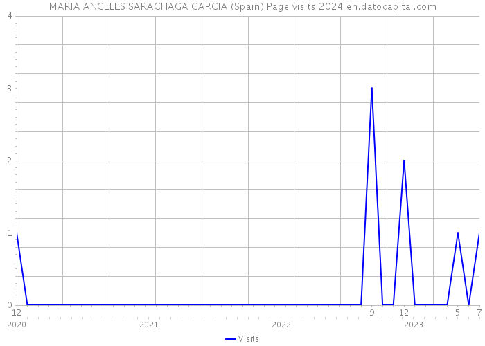 MARIA ANGELES SARACHAGA GARCIA (Spain) Page visits 2024 