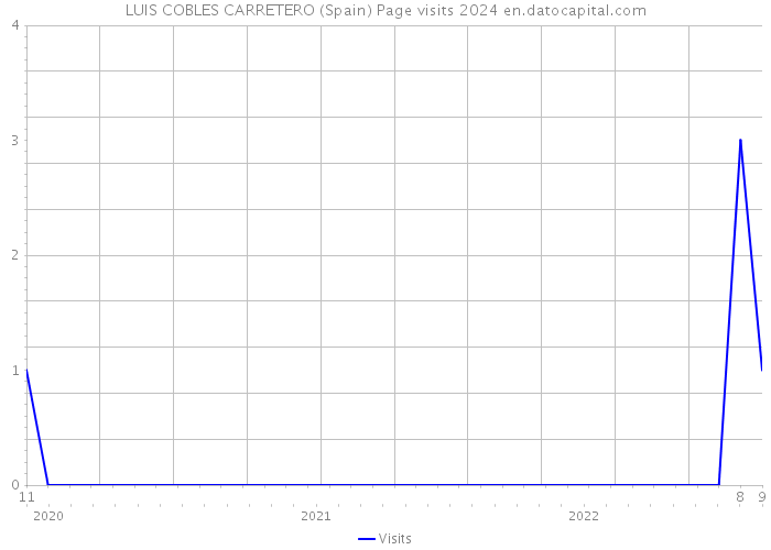 LUIS COBLES CARRETERO (Spain) Page visits 2024 