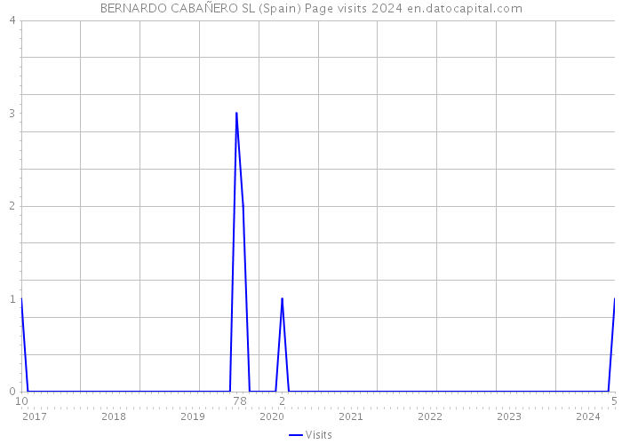BERNARDO CABAÑERO SL (Spain) Page visits 2024 