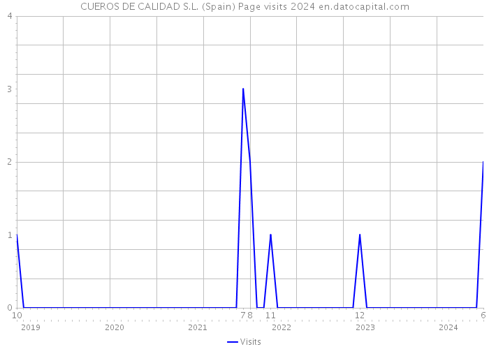 CUEROS DE CALIDAD S.L. (Spain) Page visits 2024 