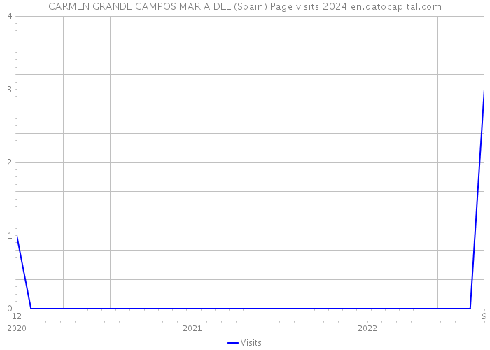 CARMEN GRANDE CAMPOS MARIA DEL (Spain) Page visits 2024 