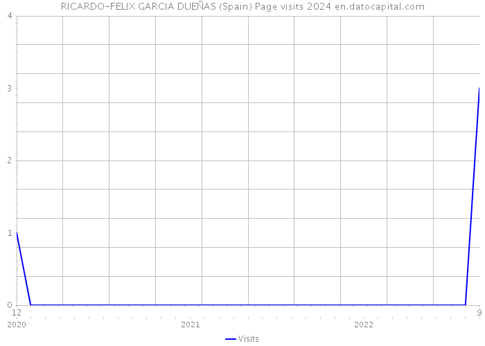 RICARDO-FELIX GARCIA DUEÑAS (Spain) Page visits 2024 