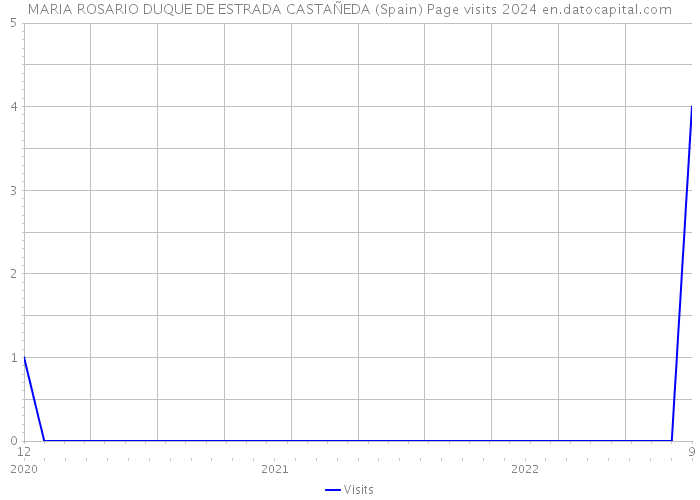 MARIA ROSARIO DUQUE DE ESTRADA CASTAÑEDA (Spain) Page visits 2024 