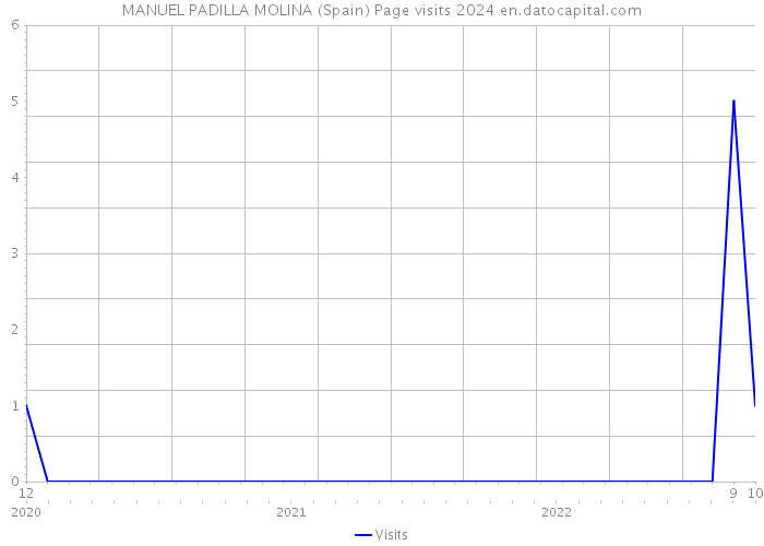 MANUEL PADILLA MOLINA (Spain) Page visits 2024 