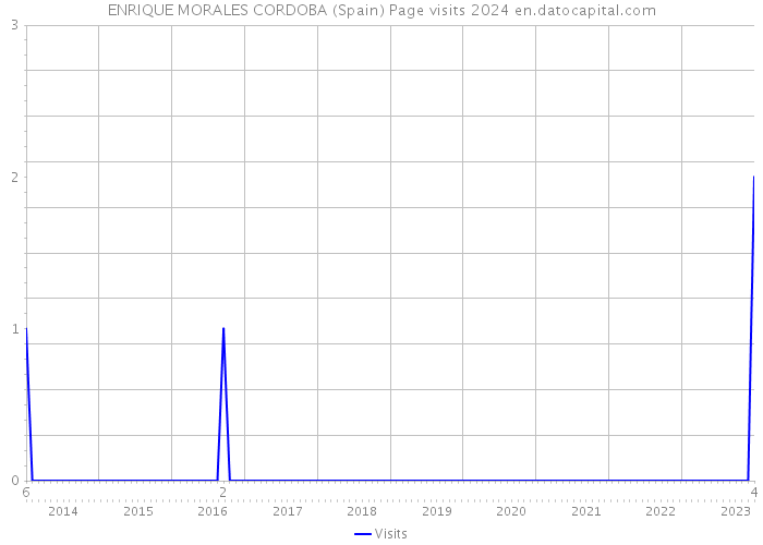 ENRIQUE MORALES CORDOBA (Spain) Page visits 2024 