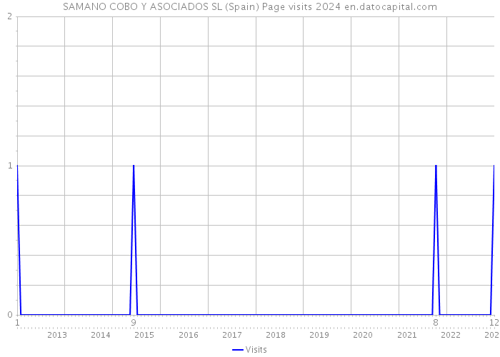 SAMANO COBO Y ASOCIADOS SL (Spain) Page visits 2024 