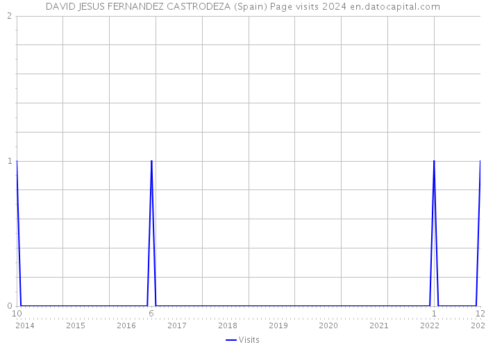 DAVID JESUS FERNANDEZ CASTRODEZA (Spain) Page visits 2024 