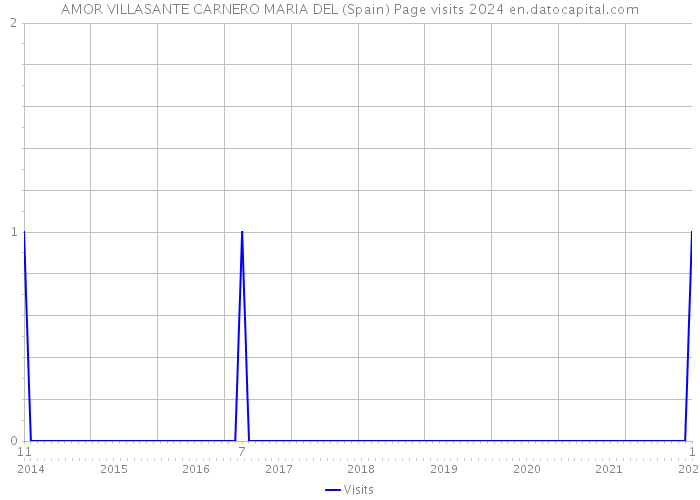 AMOR VILLASANTE CARNERO MARIA DEL (Spain) Page visits 2024 