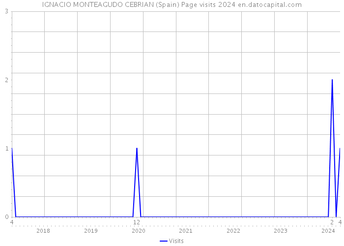 IGNACIO MONTEAGUDO CEBRIAN (Spain) Page visits 2024 