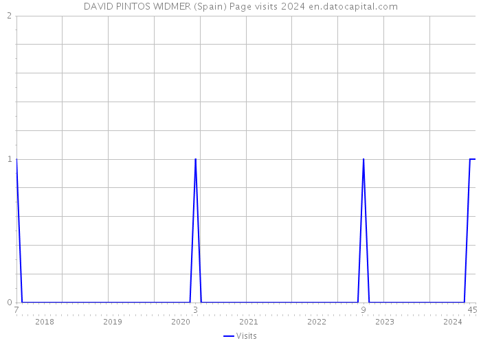 DAVID PINTOS WIDMER (Spain) Page visits 2024 