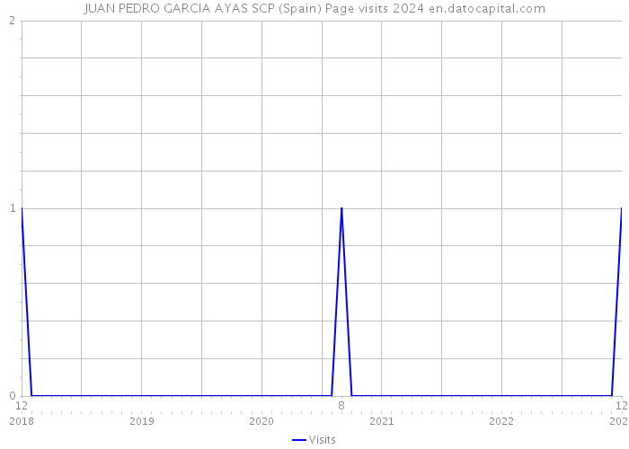 JUAN PEDRO GARCIA AYAS SCP (Spain) Page visits 2024 