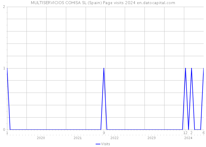 MULTISERVICIOS COHISA SL (Spain) Page visits 2024 