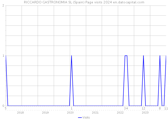 RICCARDO GASTRONOMIA SL (Spain) Page visits 2024 