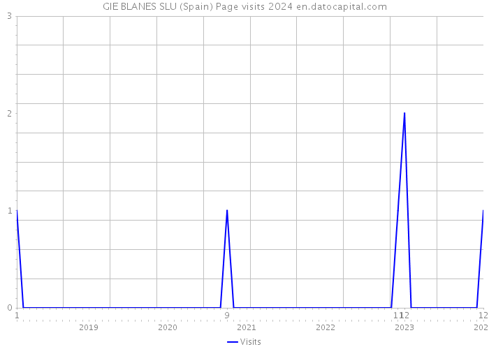 GIE BLANES SLU (Spain) Page visits 2024 