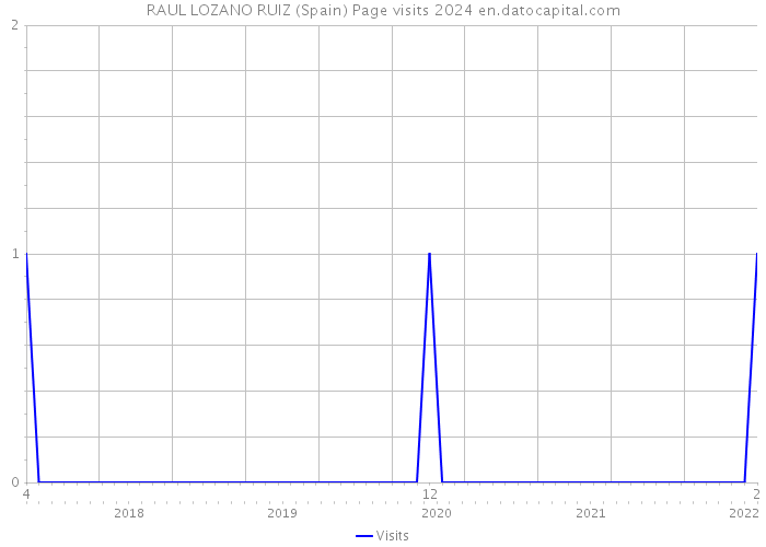 RAUL LOZANO RUIZ (Spain) Page visits 2024 