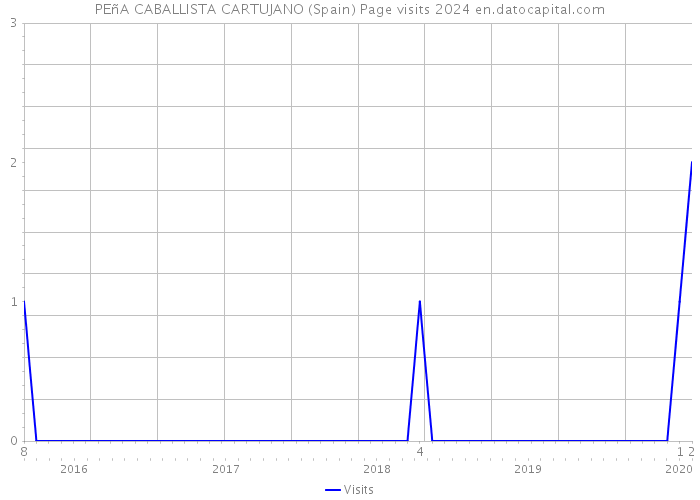 PEñA CABALLISTA CARTUJANO (Spain) Page visits 2024 