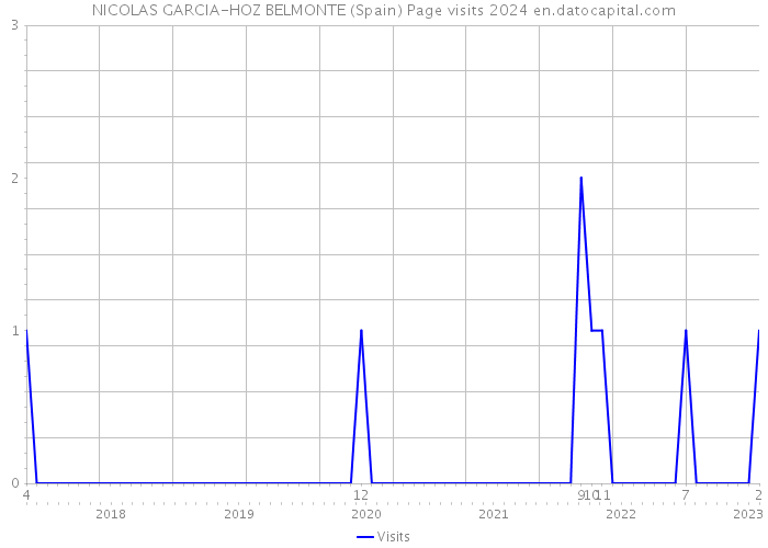 NICOLAS GARCIA-HOZ BELMONTE (Spain) Page visits 2024 