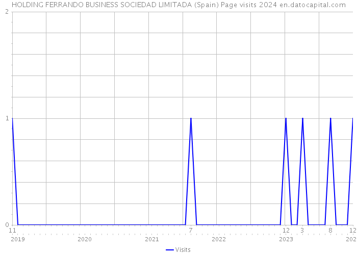 HOLDING FERRANDO BUSINESS SOCIEDAD LIMITADA (Spain) Page visits 2024 