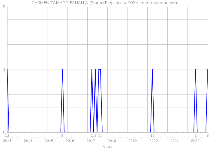 CARMEN TAMAYO BRUALLA (Spain) Page visits 2024 