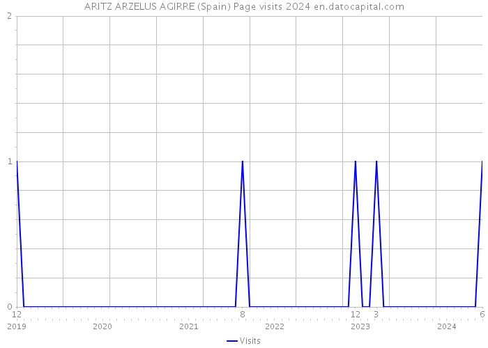 ARITZ ARZELUS AGIRRE (Spain) Page visits 2024 