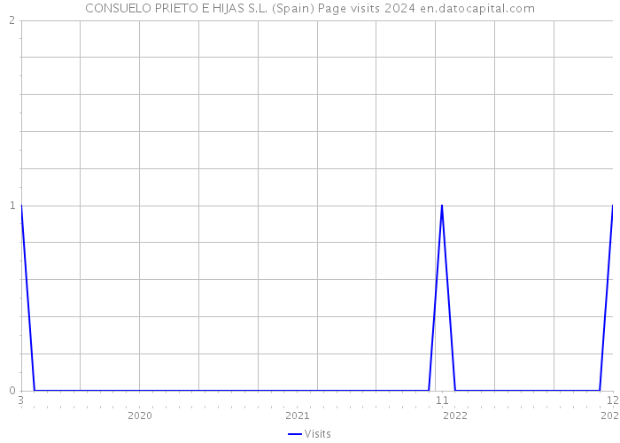 CONSUELO PRIETO E HIJAS S.L. (Spain) Page visits 2024 