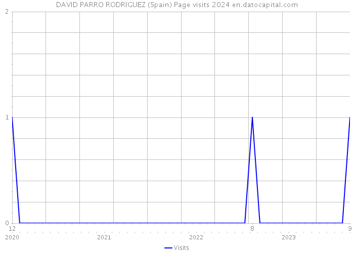 DAVID PARRO RODRIGUEZ (Spain) Page visits 2024 