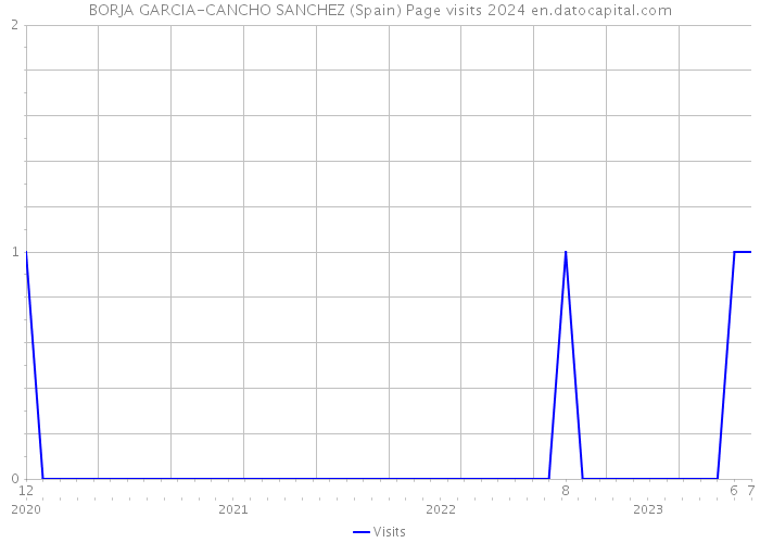 BORJA GARCIA-CANCHO SANCHEZ (Spain) Page visits 2024 
