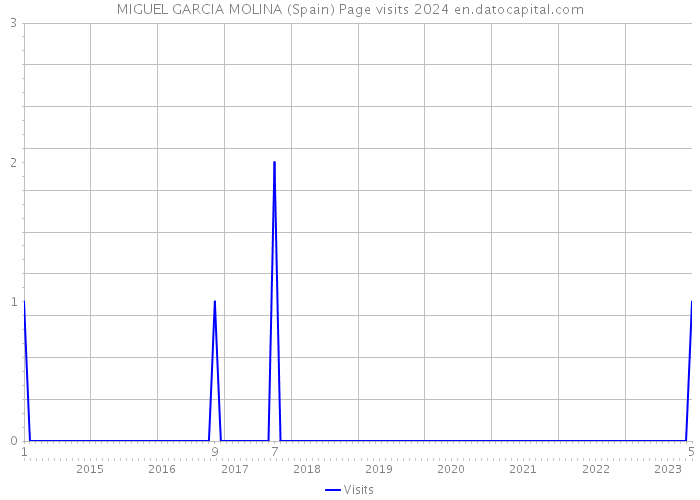 MIGUEL GARCIA MOLINA (Spain) Page visits 2024 
