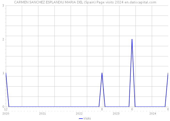 CARMEN SANCHEZ ESPLANDIU MARIA DEL (Spain) Page visits 2024 