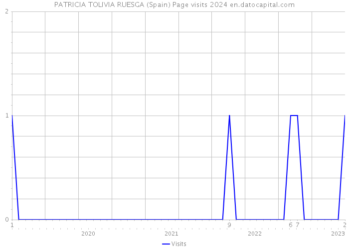 PATRICIA TOLIVIA RUESGA (Spain) Page visits 2024 