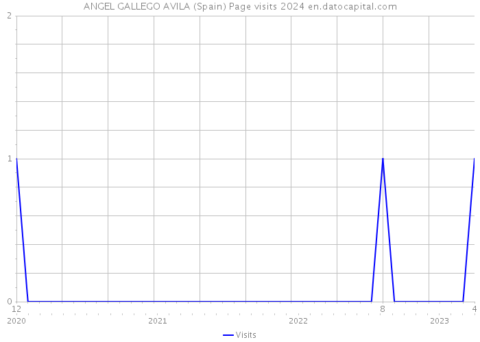 ANGEL GALLEGO AVILA (Spain) Page visits 2024 
