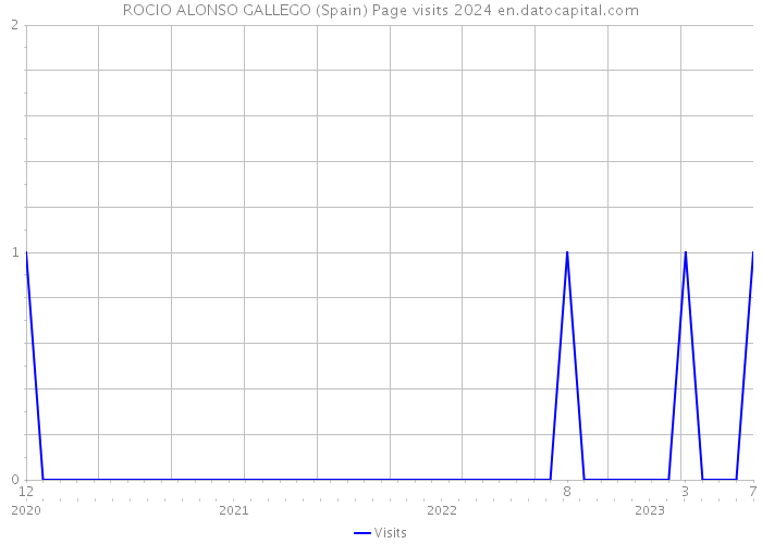 ROCIO ALONSO GALLEGO (Spain) Page visits 2024 
