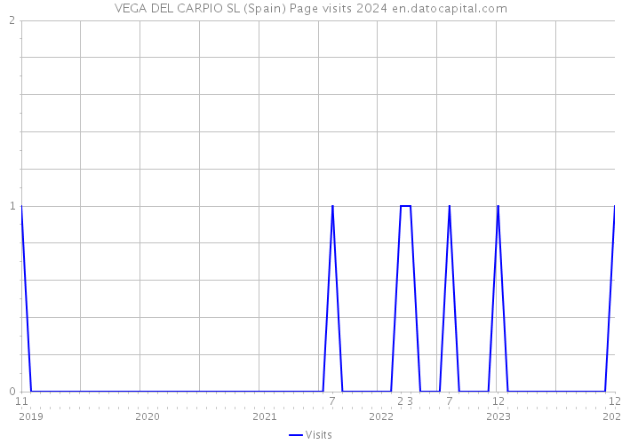 VEGA DEL CARPIO SL (Spain) Page visits 2024 