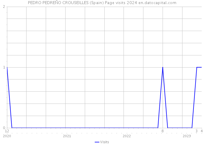 PEDRO PEDREÑO CROUSEILLES (Spain) Page visits 2024 