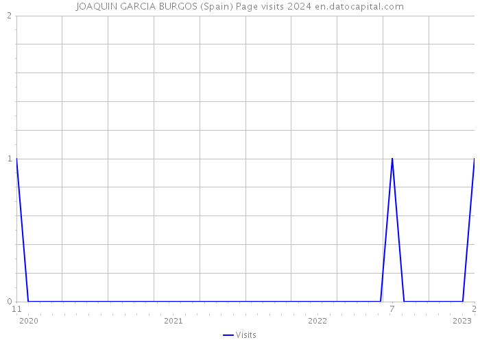 JOAQUIN GARCIA BURGOS (Spain) Page visits 2024 