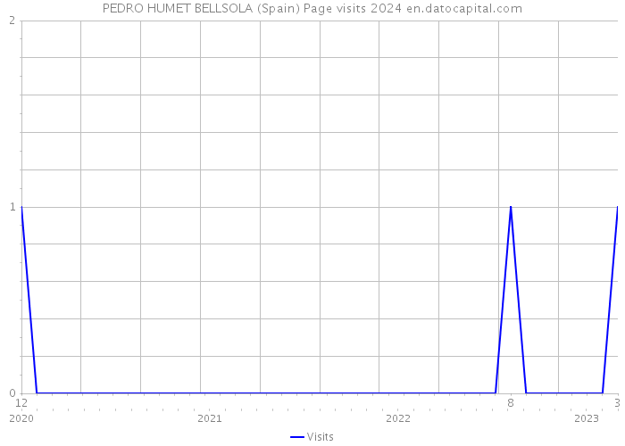PEDRO HUMET BELLSOLA (Spain) Page visits 2024 