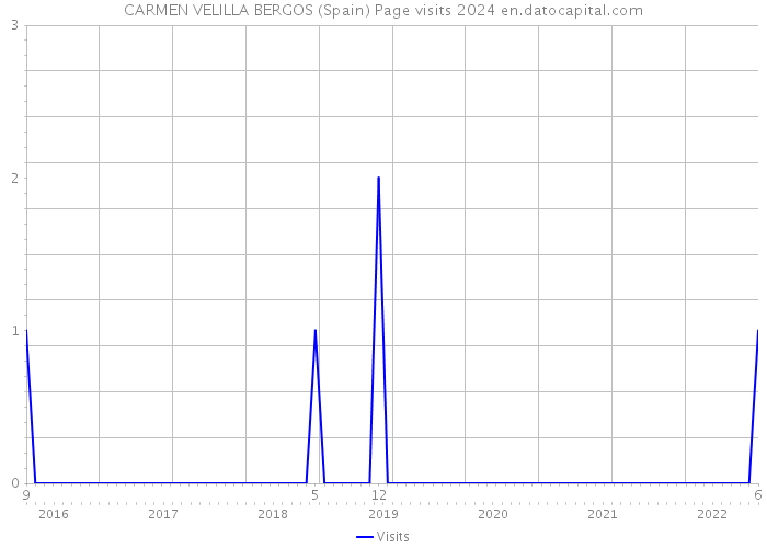 CARMEN VELILLA BERGOS (Spain) Page visits 2024 