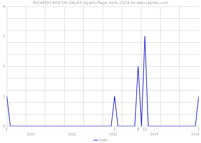 RICARDO RINCON SALAS (Spain) Page visits 2024 