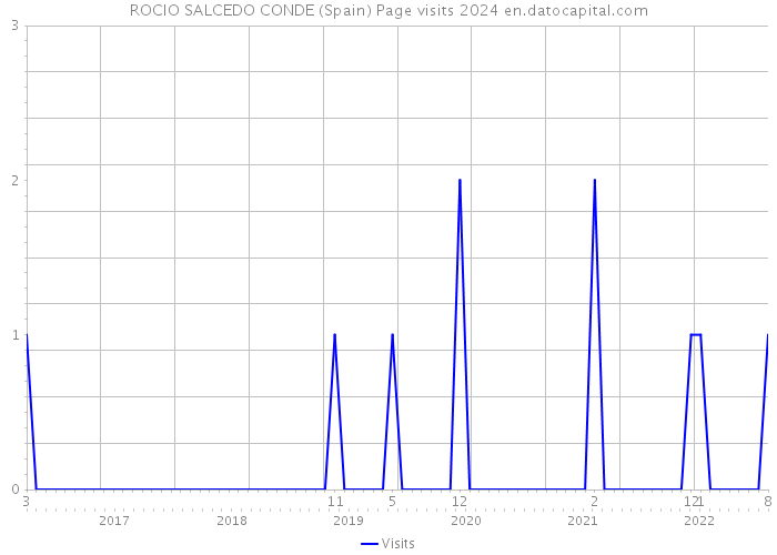 ROCIO SALCEDO CONDE (Spain) Page visits 2024 