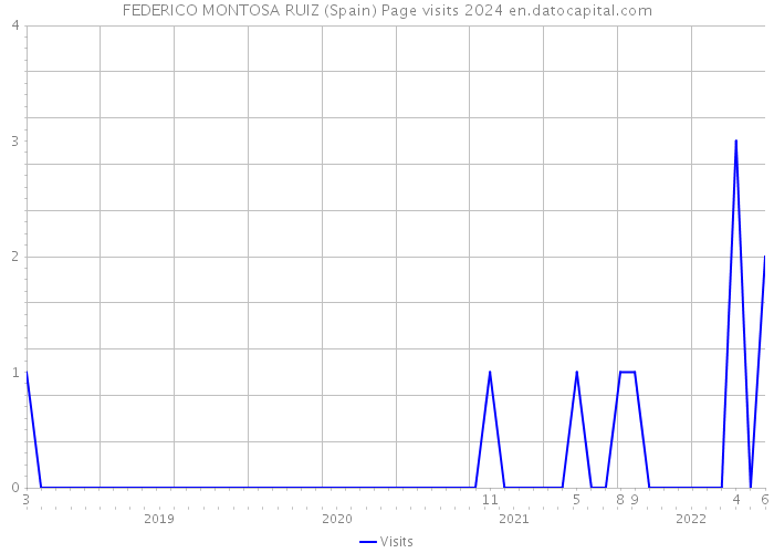 FEDERICO MONTOSA RUIZ (Spain) Page visits 2024 