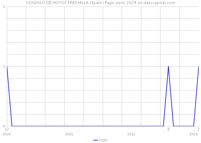 GONZALO DE HOYOS FRECHILLA (Spain) Page visits 2024 