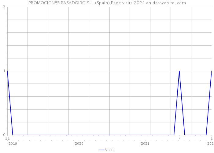 PROMOCIONES PASADOIRO S.L. (Spain) Page visits 2024 