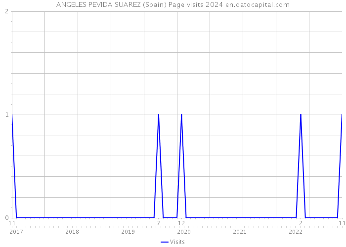 ANGELES PEVIDA SUAREZ (Spain) Page visits 2024 