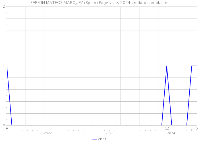 FERMIN MATEOS MARQUEZ (Spain) Page visits 2024 