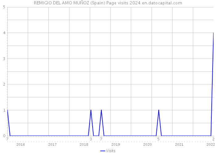 REMIGIO DEL AMO MUÑOZ (Spain) Page visits 2024 