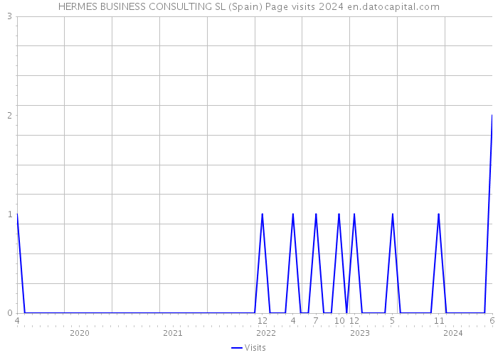 HERMES BUSINESS CONSULTING SL (Spain) Page visits 2024 