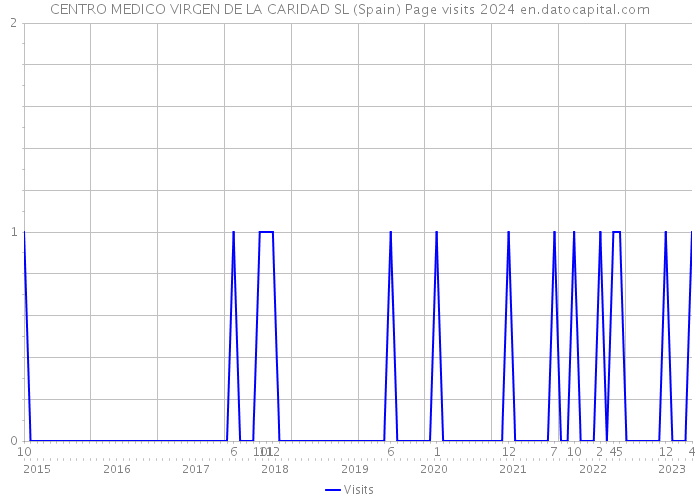 CENTRO MEDICO VIRGEN DE LA CARIDAD SL (Spain) Page visits 2024 