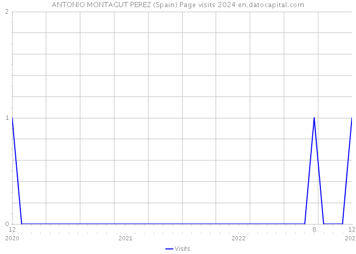 ANTONIO MONTAGUT PEREZ (Spain) Page visits 2024 