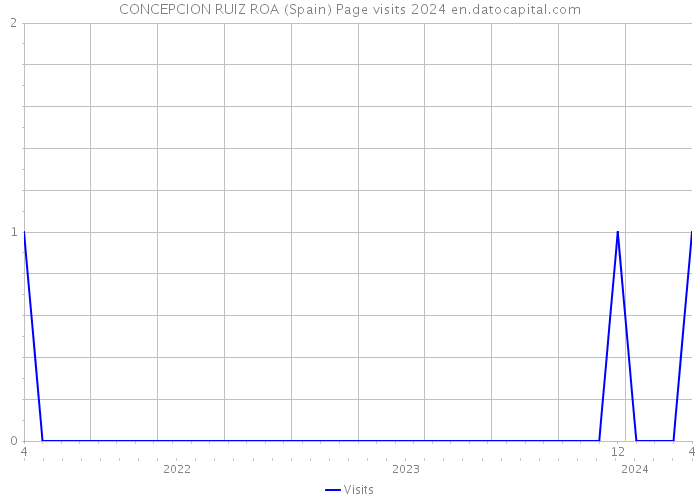 CONCEPCION RUIZ ROA (Spain) Page visits 2024 